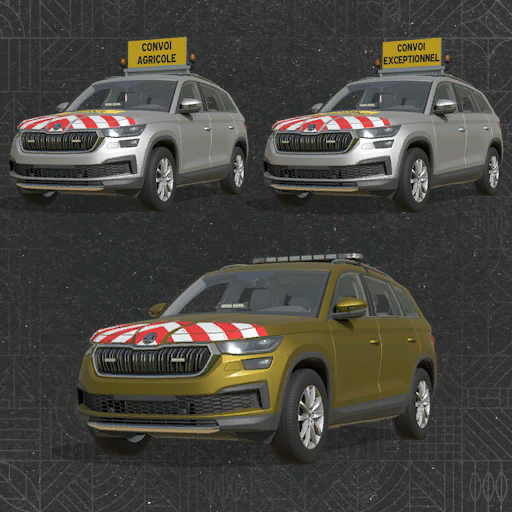 Kodiaq Begleitfahrzeug