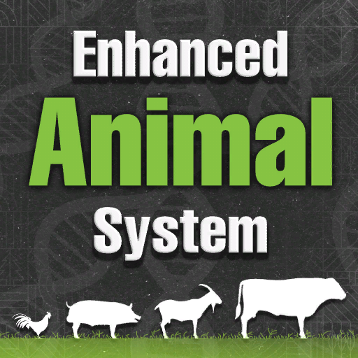Erweitertes Tier System