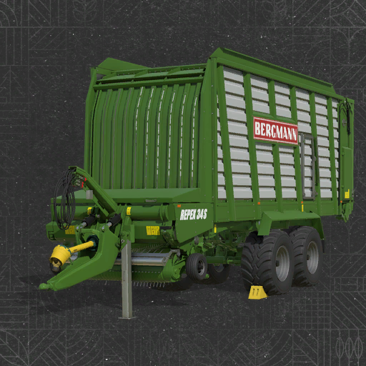 Bergmann Repex 34S